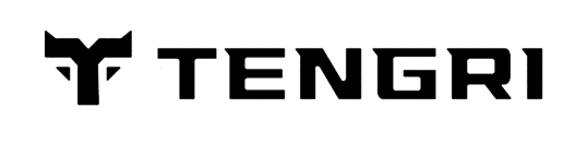 Tengri logo